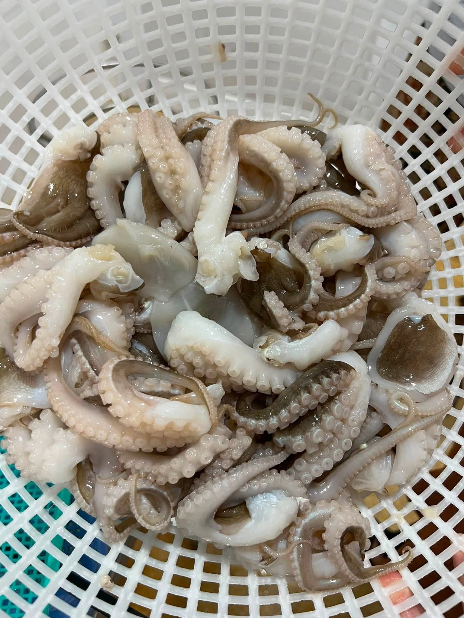 Real mini octopus product in a sorting basket