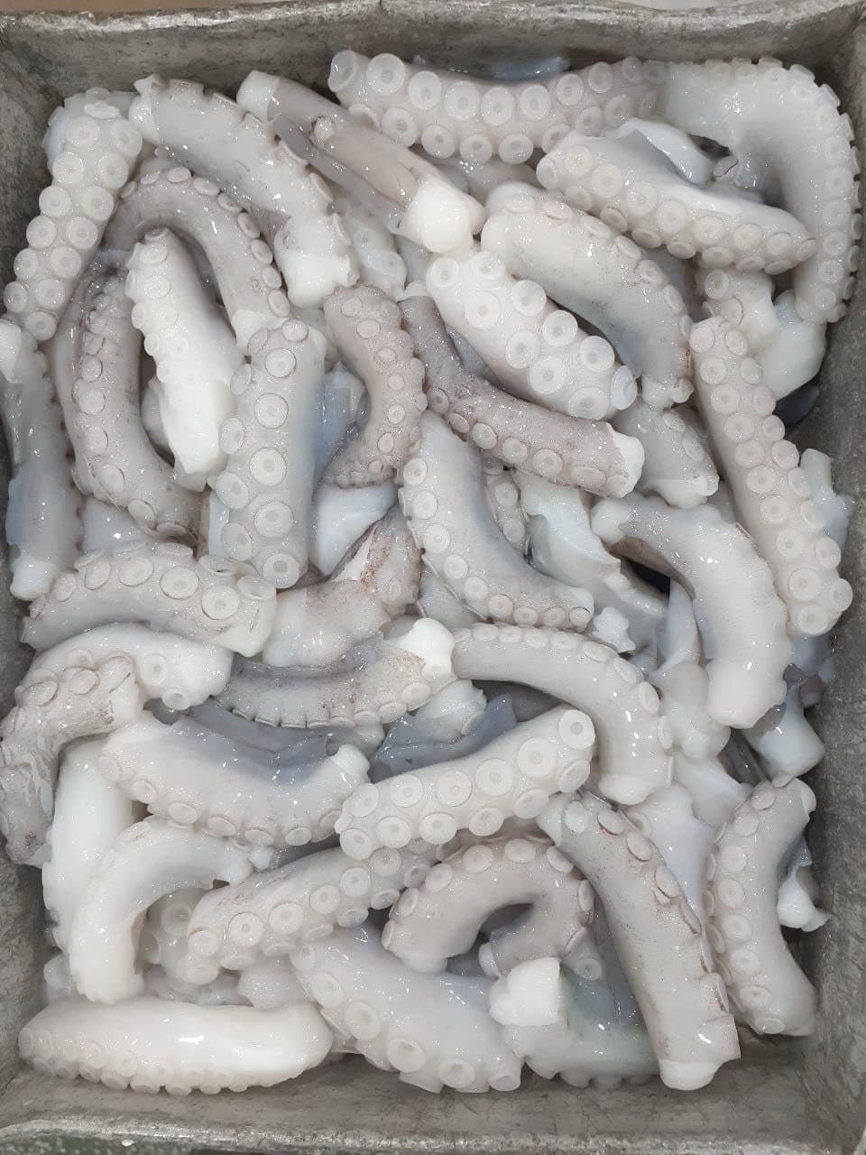 Real cleaned seafood product arranged in a metal tray