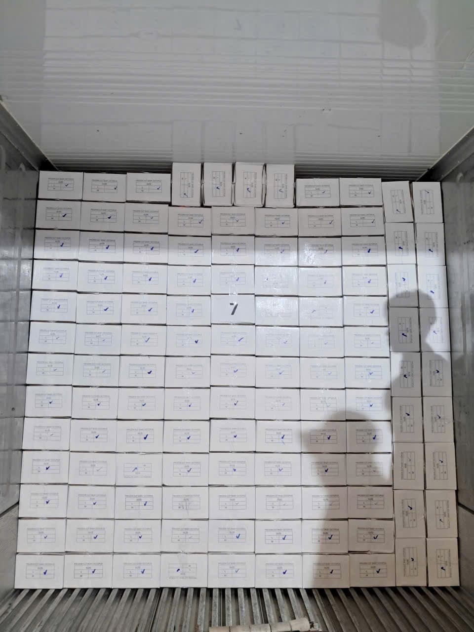 Real seafood export cartons arranged in cold storage