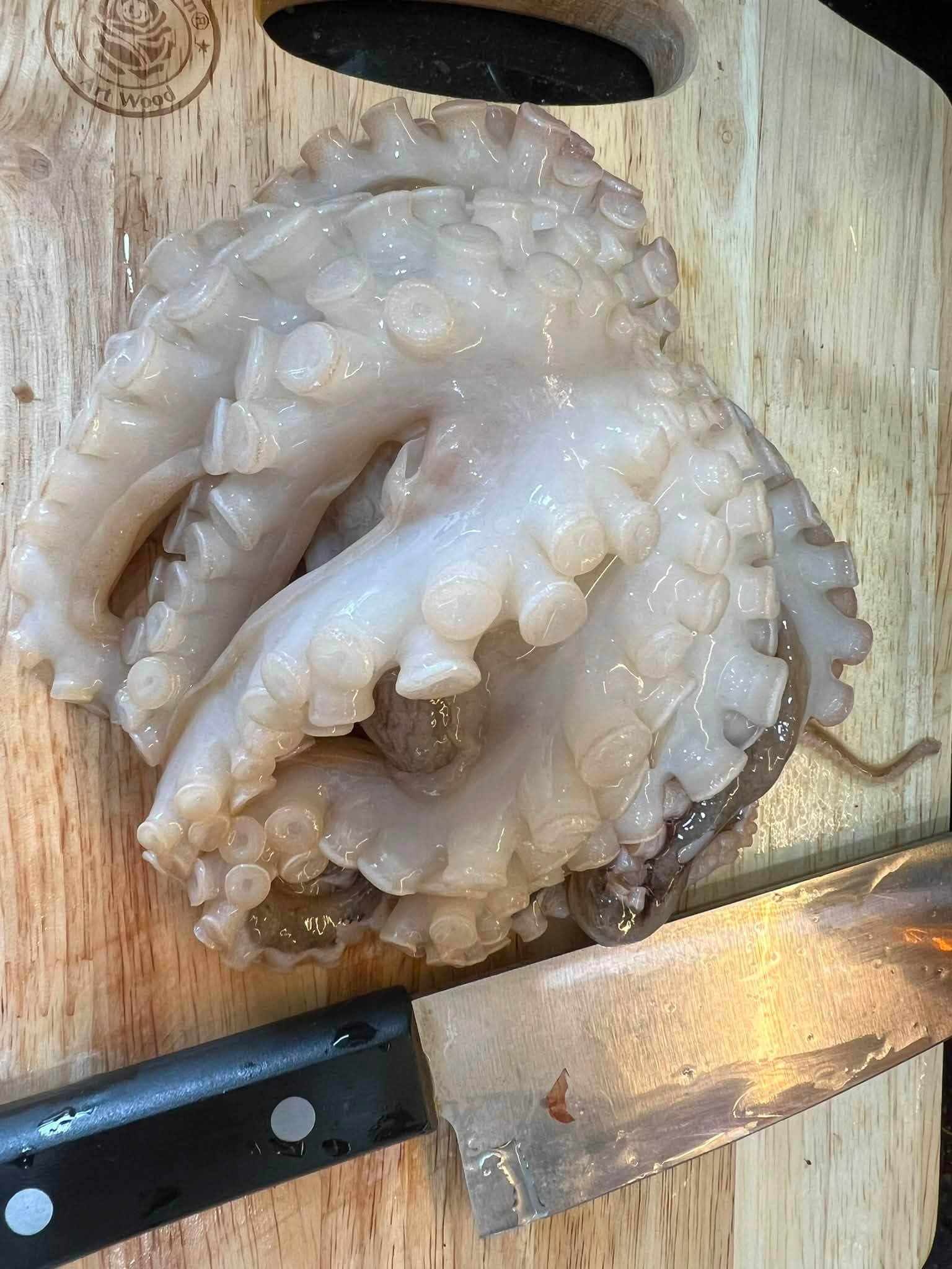 Real sorted mini octopus prepared for handling